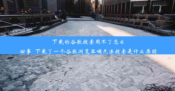 下载的谷歌搜索用不了怎么回事_下载了一个谷歌浏览器确无法搜索是什么原因