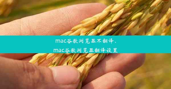 mac谷歌浏览器不翻译、mac谷歌浏览器翻译设置