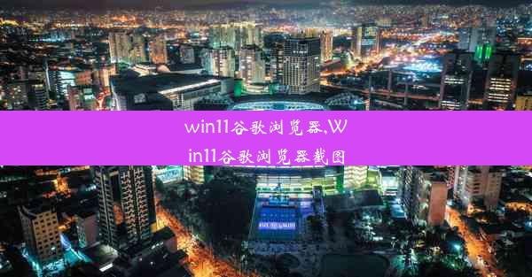 win11谷歌浏览器,Win11谷歌浏览器截图