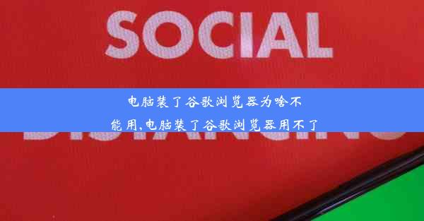 电脑装了谷歌浏览器为啥不能用,电脑装了谷歌浏览器用不了