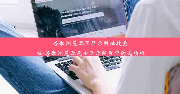 谷歌浏览器不显示网址搜索栏-谷歌浏览器无法显示网页中的选项框