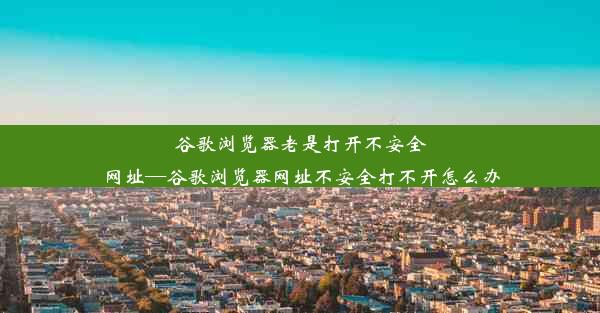 谷歌浏览器老是打开不安全网址—谷歌浏览器网址不安全打不开怎么办