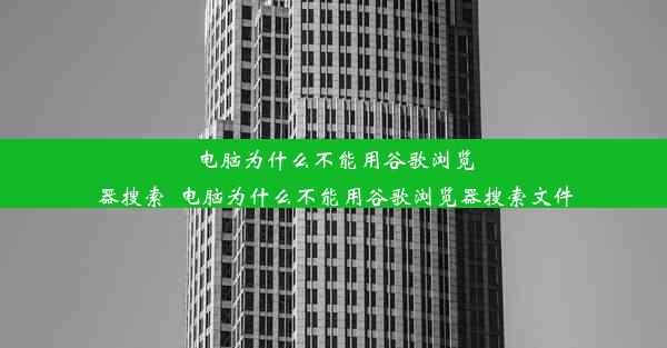 电脑为什么不能用谷歌浏览器搜索_电脑为什么不能用谷歌浏览器搜索文件