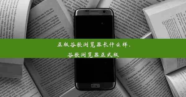 正版谷歌浏览器长什么样、谷歌浏览器正式版