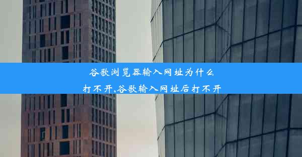 谷歌浏览器输入网址为什么打不开,谷歌输入网址后打不开