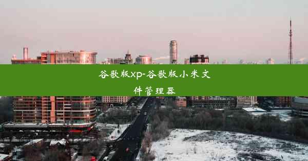 谷歌版xp-谷歌版小米文件管理器