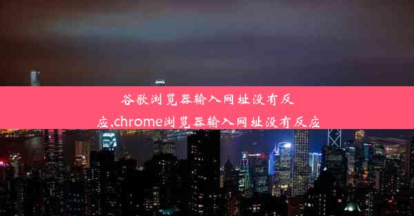 谷歌浏览器输入网址没有反应,chrome浏览器输入网址没有反应