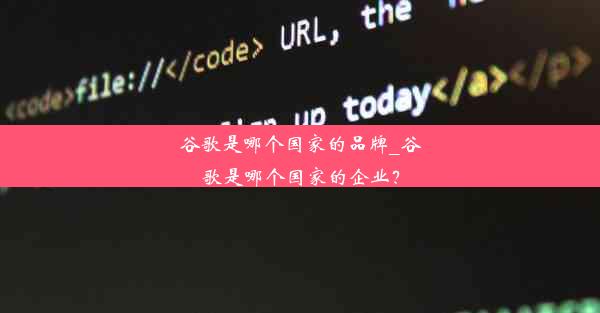 谷歌是哪个国家的品牌_谷歌是哪个国家的企业？