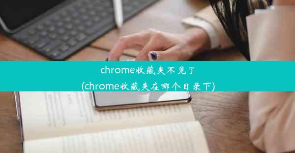 chrome收藏夹不见了(chrome收藏夹在哪个目录下)