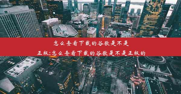 怎么查看下载的谷歌是不是正版;怎么查看下载的谷歌是不是正版的