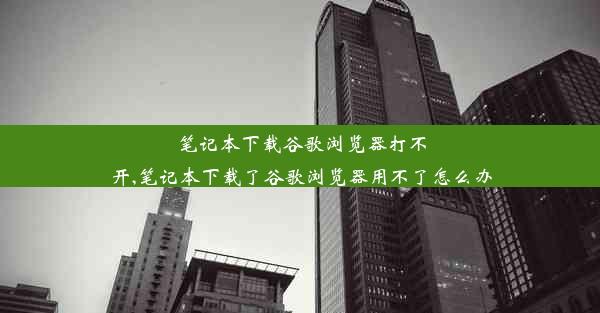 笔记本下载谷歌浏览器打不开,笔记本下载了谷歌浏览器用不了怎么办