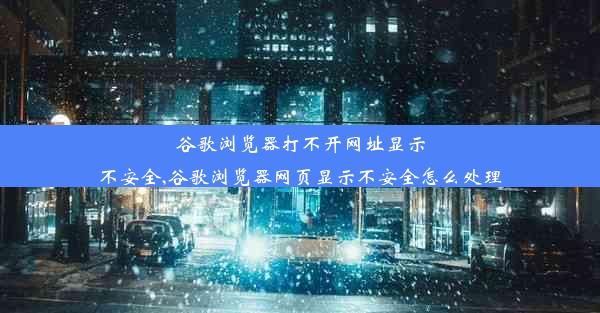 谷歌浏览器打不开网址显示不安全,谷歌浏览器网页显示不安全怎么处理