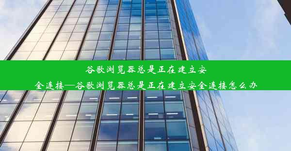 谷歌浏览器总是正在建立安全连接—谷歌浏览器总是正在建立安全连接怎么办