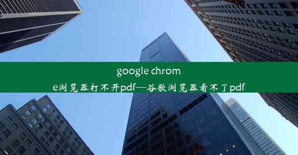 google chrome浏览器打不开pdf—谷歌浏览器看不了pdf