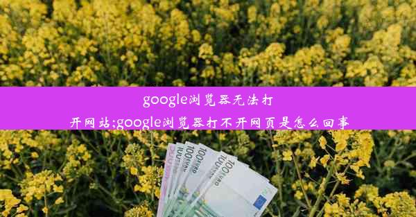 google浏览器无法打开网站;google浏览器打不开网页是怎么回事