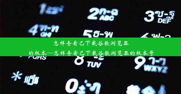 怎样查看已下载谷歌浏览器的版本—怎样查看已下载谷歌浏览器的版本号