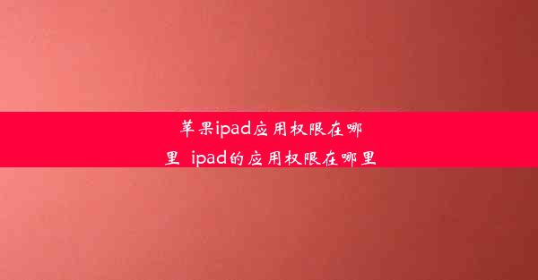 苹果ipad应用权限在哪里_ipad的应用权限在哪里