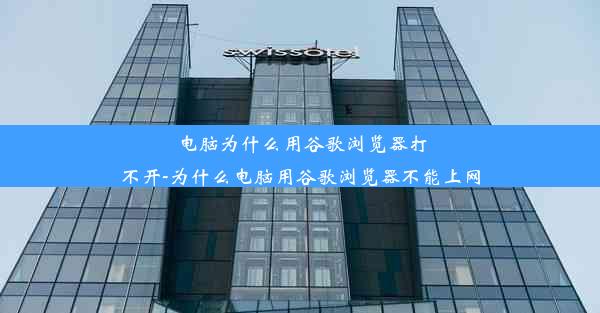 电脑为什么用谷歌浏览器打不开-为什么电脑用谷歌浏览器不能上网