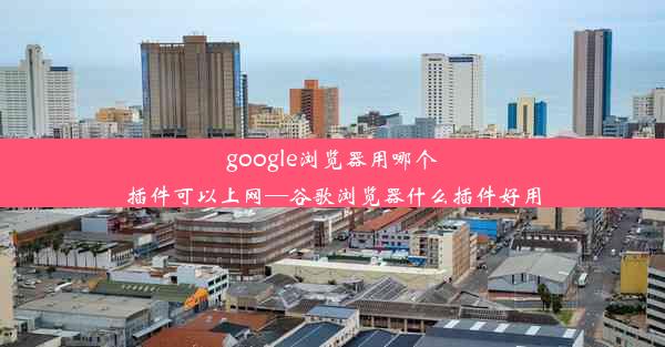 google浏览器用哪个插件可以上网—谷歌浏览器什么插件好用