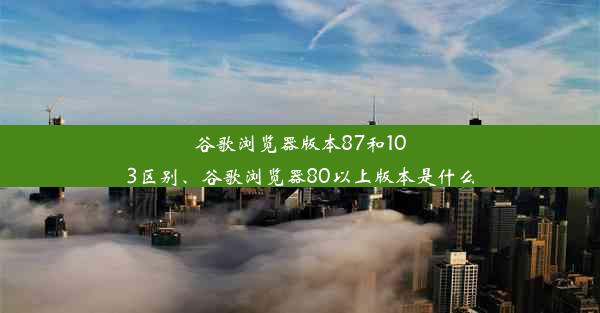 谷歌浏览器版本87和103区别、谷歌浏览器80以上版本是什么