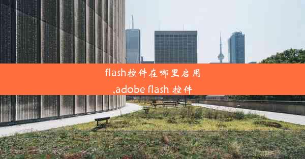 flash控件在哪里启用,adobe flash 控件