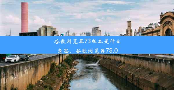 谷歌浏览器73版本是什么意思、谷歌浏览器78.0