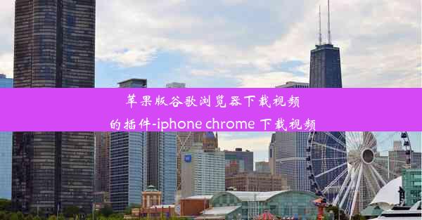 苹果版谷歌浏览器下载视频的插件-iphone chrome 下载视频