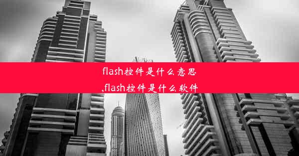 flash控件是什么意思,flash控件是什么软件