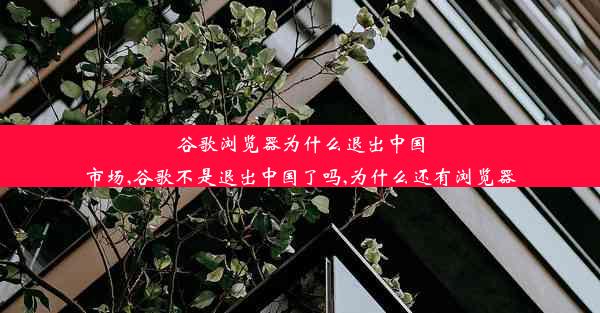 谷歌浏览器为什么退出中国市场,谷歌不是退出中国了吗,为什么还有浏览器