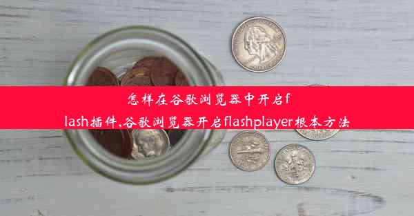 怎样在谷歌浏览器中开启flash插件,谷歌浏览器开启flashplayer根本方法