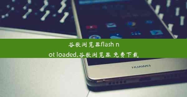 谷歌浏览器flash not loaded,谷歌浏览器 免费下载