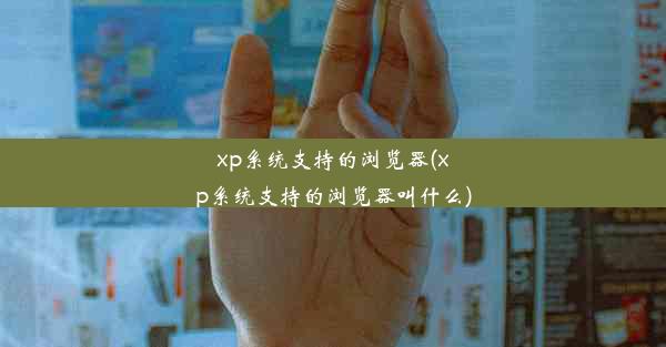 xp系统支持的浏览器(xp系统支持的浏览器叫什么)