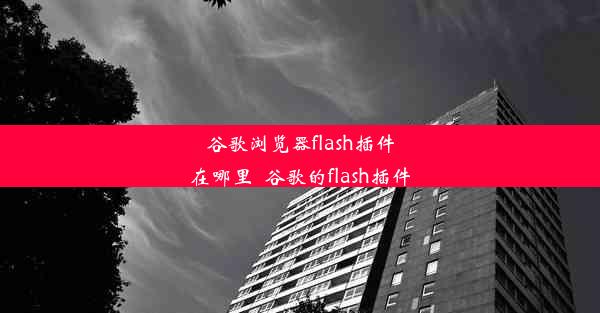 谷歌浏览器flash插件在哪里_谷歌的flash插件