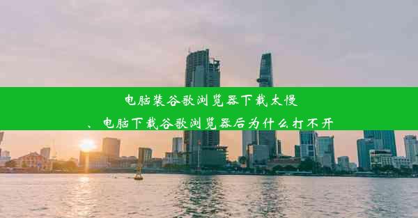 电脑装谷歌浏览器下载太慢、电脑下载谷歌浏览器后为什么打不开