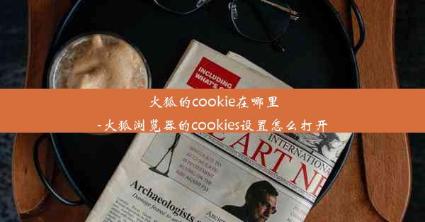 火狐的cookie在哪里-火狐浏览器的cookies设置怎么打开