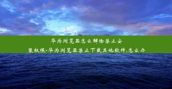 华为浏览器怎么解除禁止安装权限-华为浏览器禁止下载其他软件,怎么办