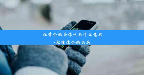 红嘴企鹅头像代表什么意思-红嘴像企鹅的鸟